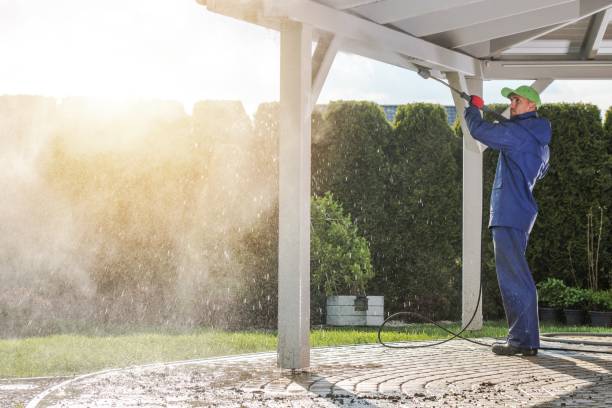 Animal Enclosure Cleaning in Augusta, GA
